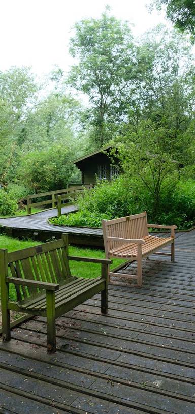 Preview of Holt Island Nature Reserve