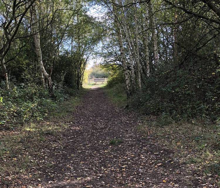 Preview of Canvey Wick to Canvey Seafront