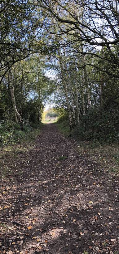 Preview of Canvey Wick to Canvey Seafront