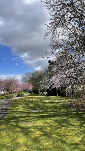 Preview of Girdlestone Nature Circuit