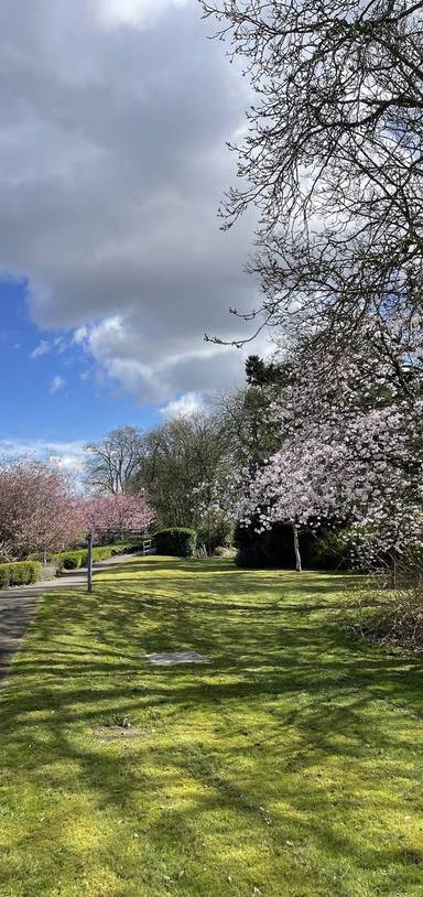Preview of Girdlestone Nature Circuit