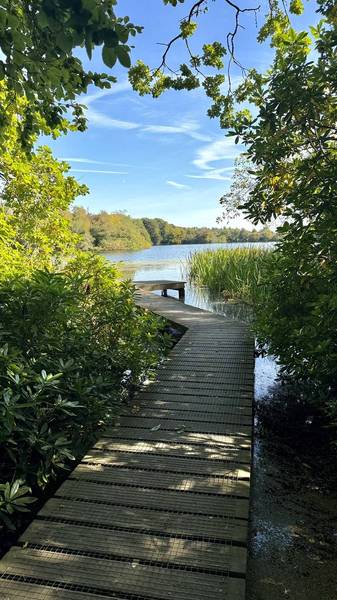 Preview of Bolam Country Park Lakeside Trail