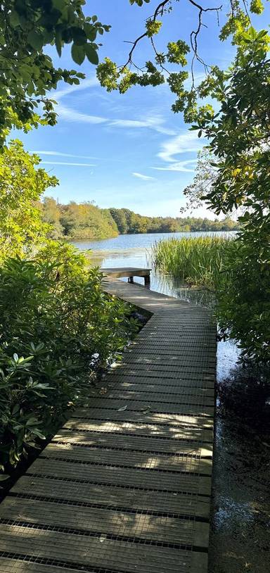 Preview of Bolam Country Park Lakeside Trail