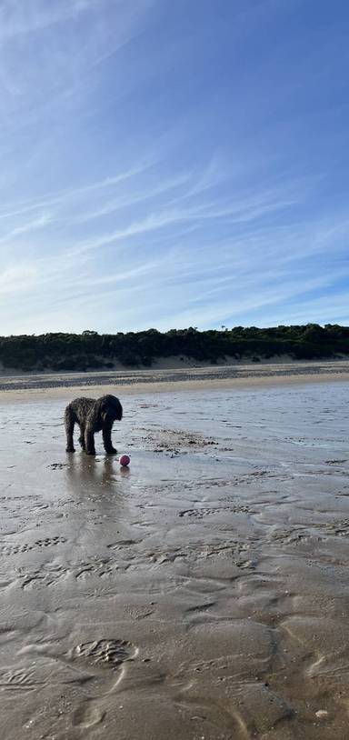 Preview of To Penally Beach & Back