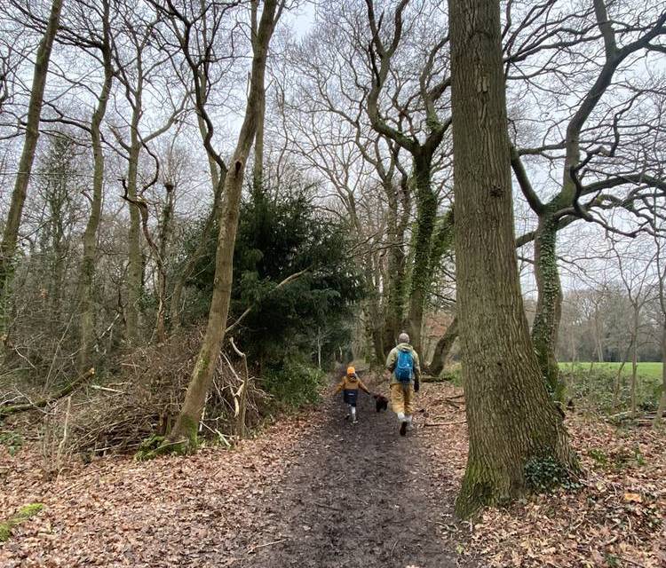 Preview of The Crofton Wood Wander