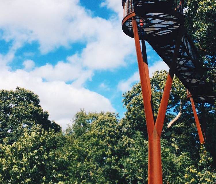 Preview of Highlights from Kew Gardens