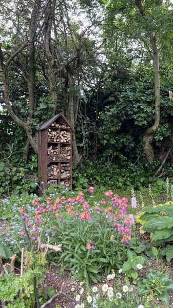 Preview of Leam Lane Circular Walk