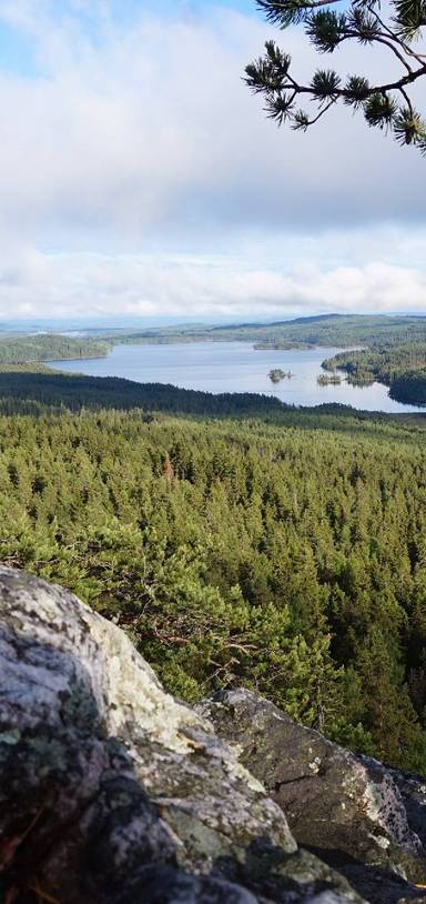 Preview of Beautiful views from Ärtknubben