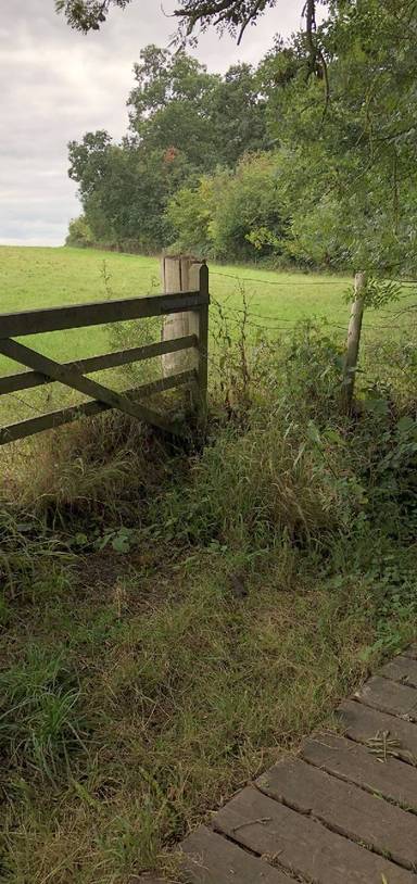 Preview of Chislehurst Caves & Hawkwood Estate