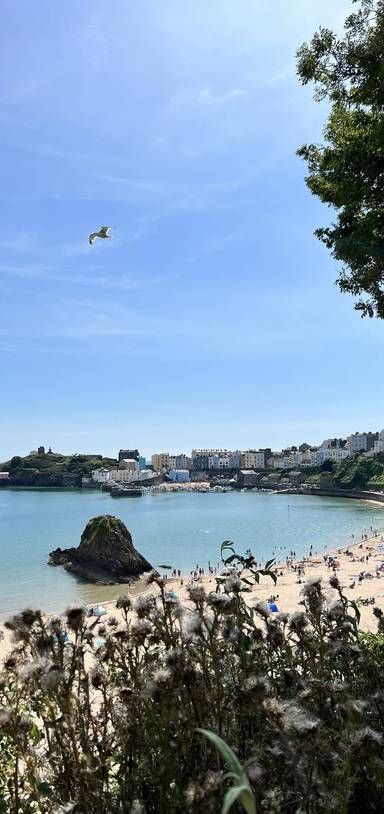Preview of Tenby to Allen’s View