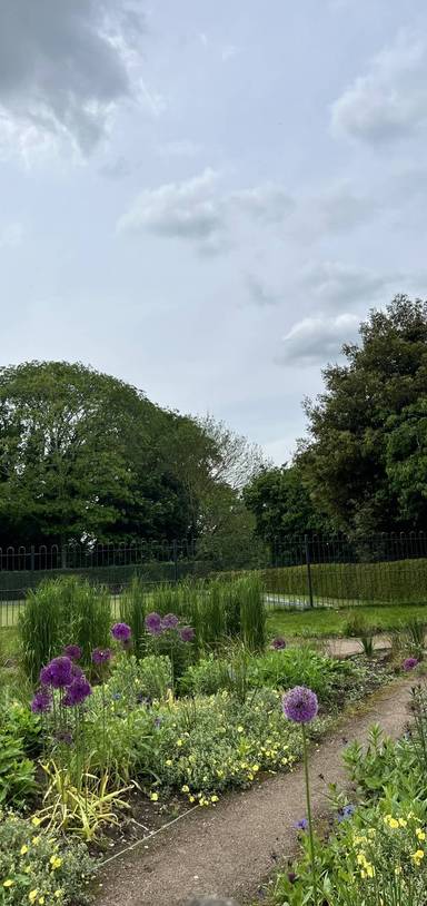 Preview of Holywells Nature Walk