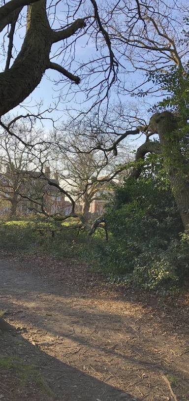 Preview of Leytonstone and Bushwood