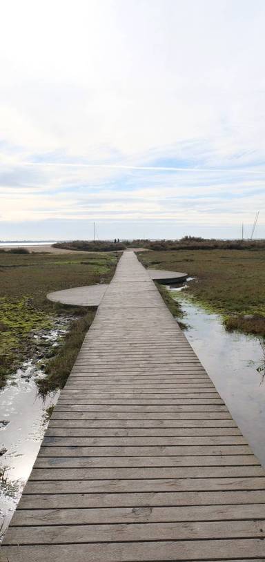 Preview of St. Peter’s Meadow & The Boardwalk