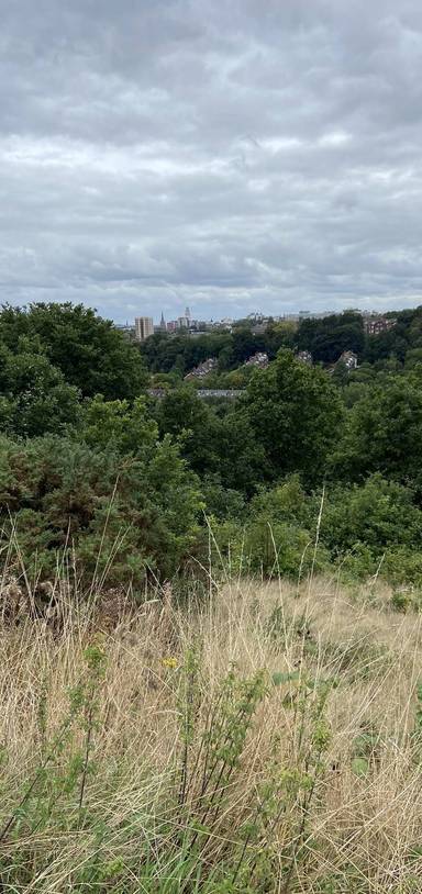 Preview of Woodhouse & Sugarwell Scenic Circle