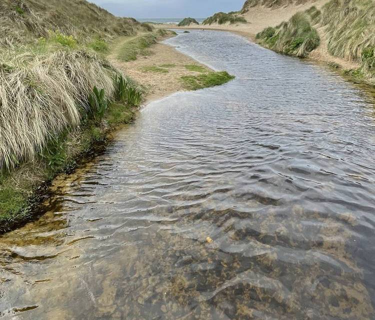 Preview of Rhosneigr Dunes, Beach & Lake Tour