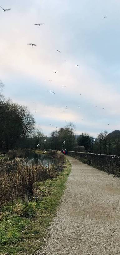 Preview of Cromford & the Black Rocks