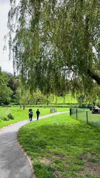 Preview of Holywells Nature Walk Step-free