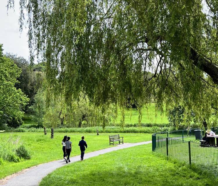 Preview of Holywells Nature Walk Step-free