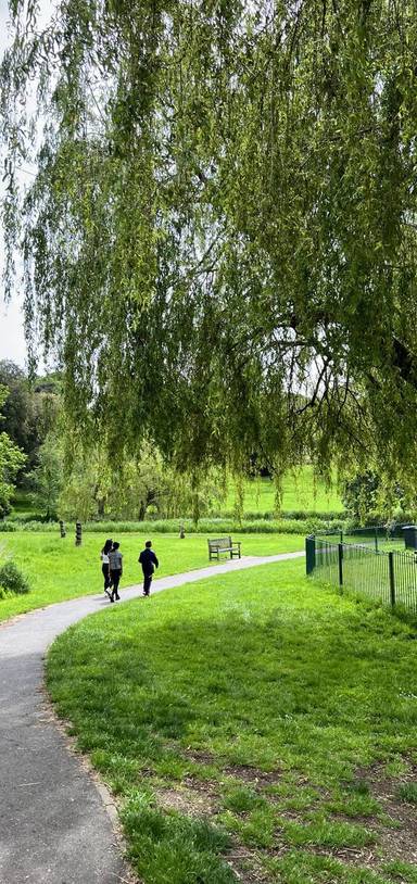 Preview of Holywells Nature Walk Step-free