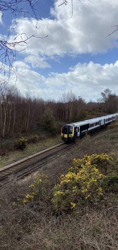 Preview of Ride & Stride: Sway to Brockenhurst