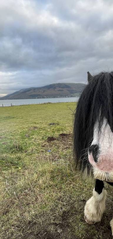 Preview of Carlingford Greenway