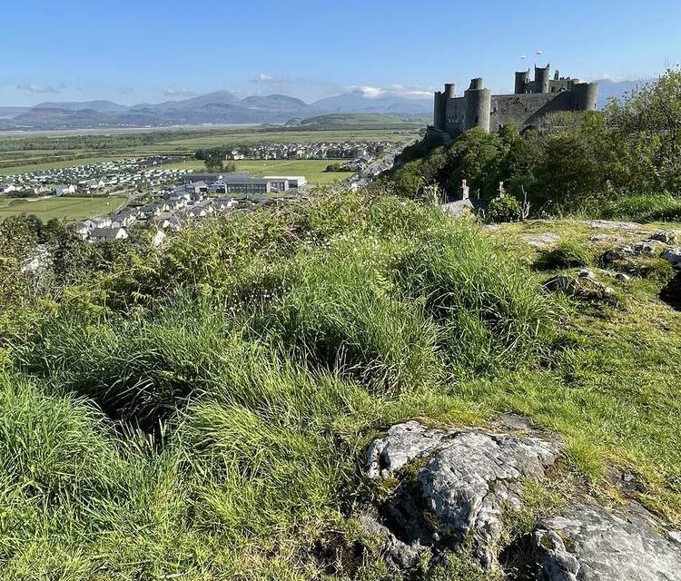 Preview of Harlech Castle & the Steepest Road
