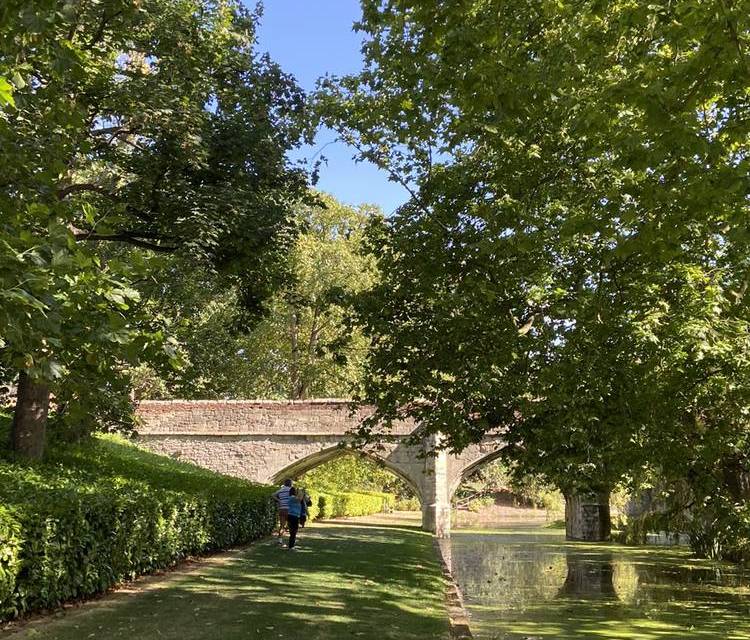 Preview of Eltham Palace Gardens Stroll