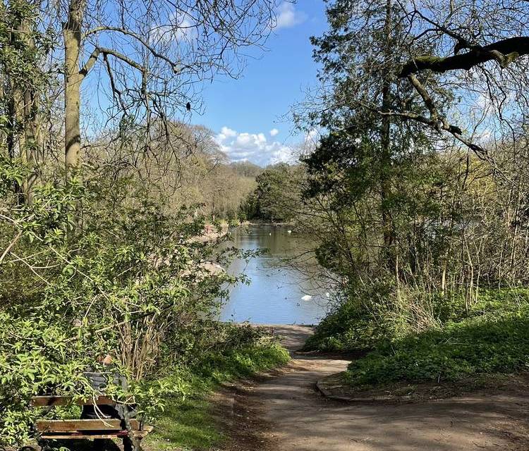 Preview of Eastville & Greenbank Nature Loop