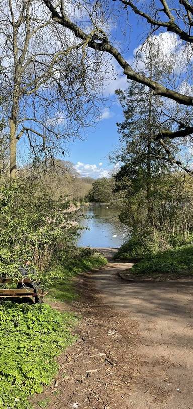 Preview of Eastville & Greenbank Nature Loop