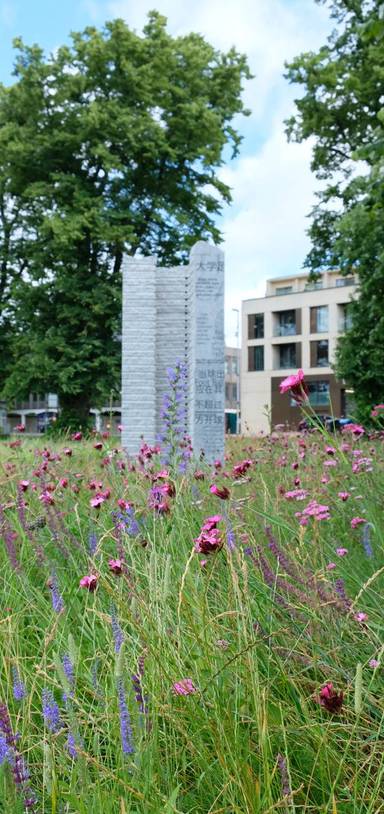 Preview of Cambridge Art & Sculpture Trail