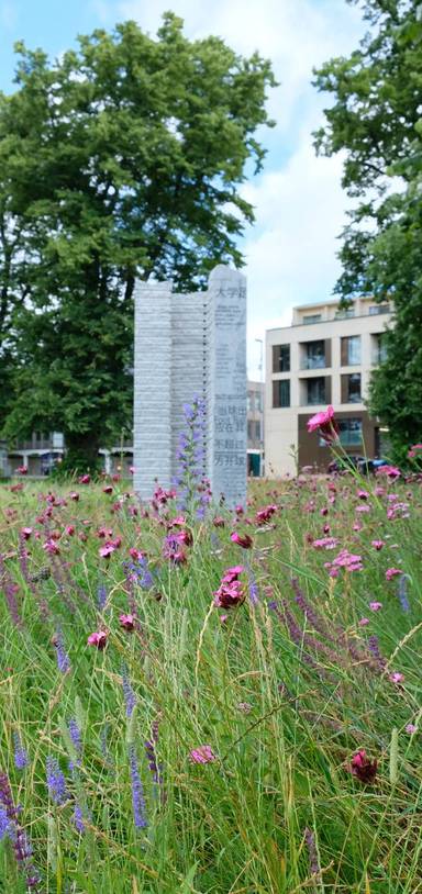 Preview of Cambridge Art & Sculpture Trail 