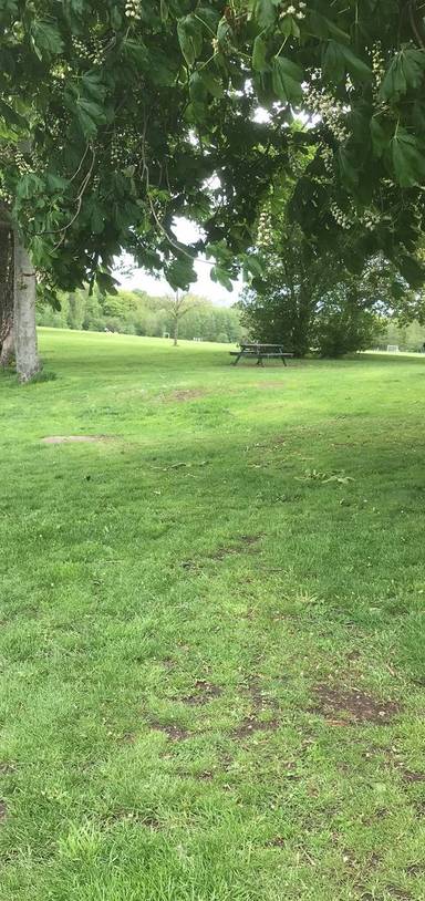 Preview of Beacon park
