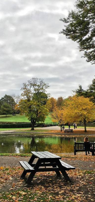 Preview of Brook Street to Castle Park