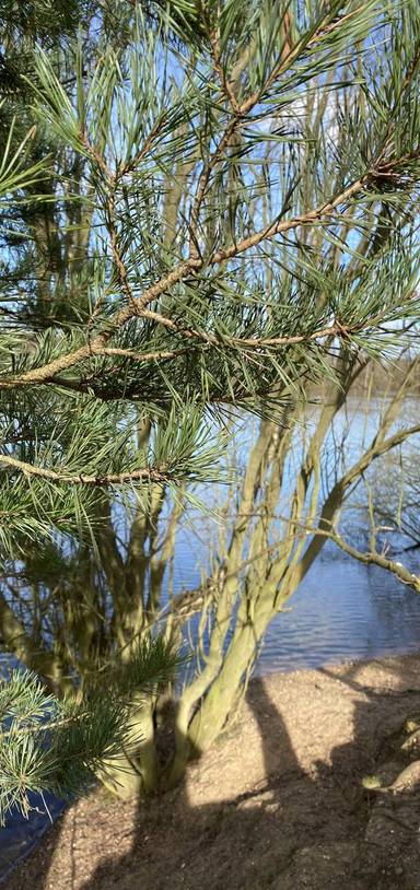 Preview of Hartsholme Country Park Circular