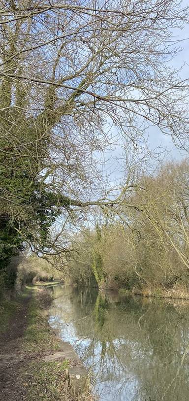 Preview of Kidlington Water Vole Explorer