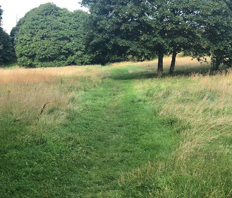 Preview of Droppingwell Fields