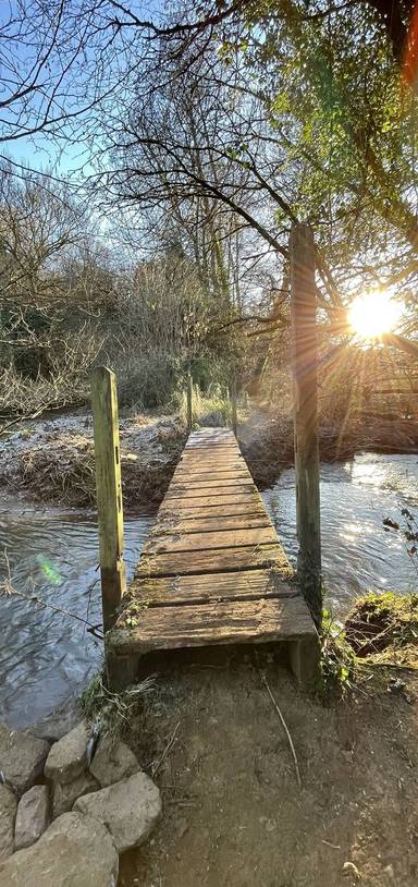 Preview of Westfield Woodland and River Ramble