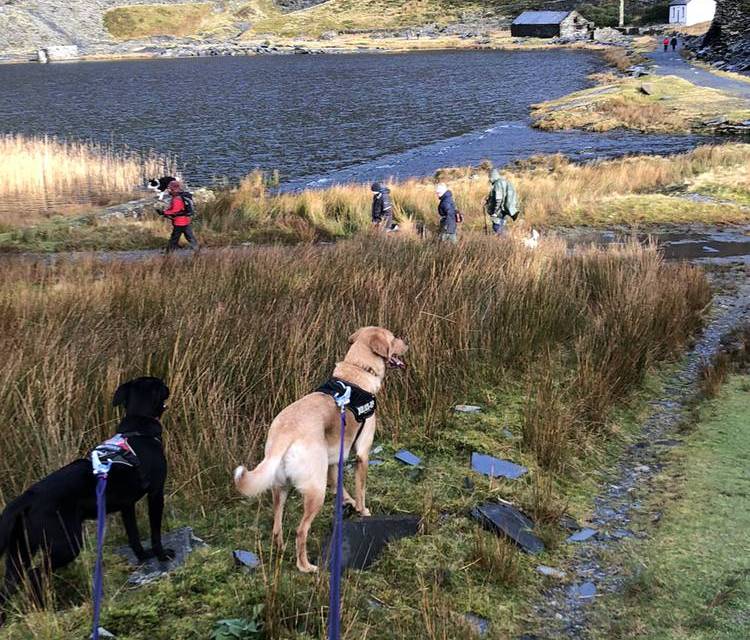 Preview of Cwmorthin and Rhosydd Quarry walk