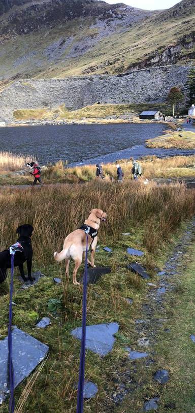 Preview of Cwmorthin and Rhosydd Quarry walk