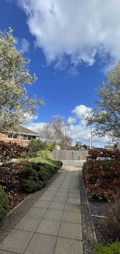 Preview of Nuffield Circular