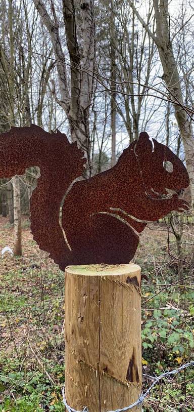 Preview of North Leigh common to Fat Squirrel 