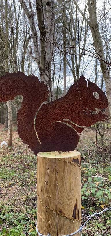 Preview of North Leigh common to Fat Squirrel