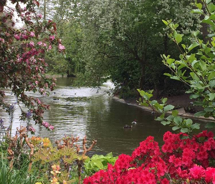 Preview of Around the pond at St. James's Park