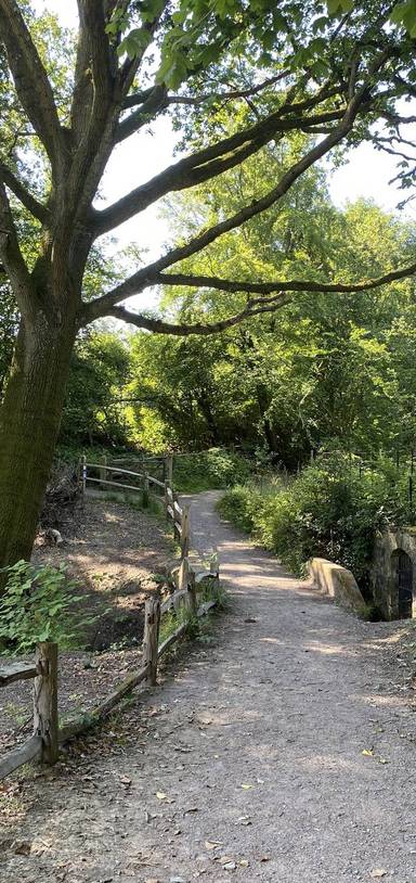 Preview of William Robinson Gravetye Estate 