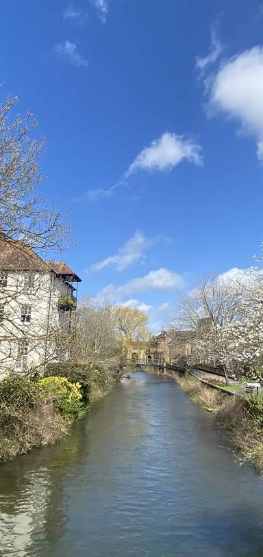 Preview of The Salisbury Town Circular