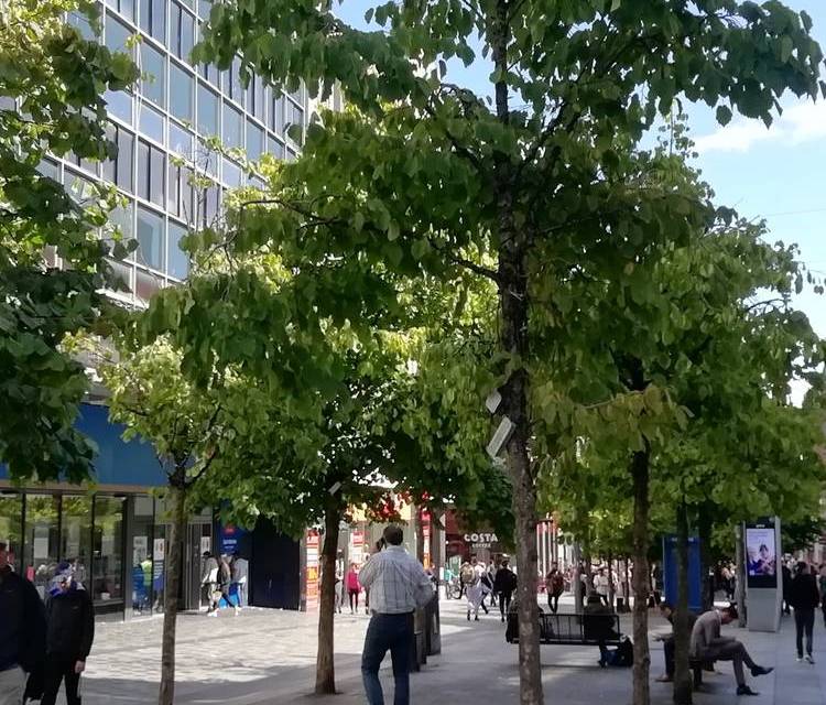 Preview of InterNoise Walk 3: City Centre