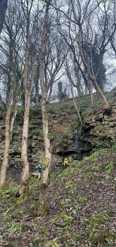 Preview of Haltwhistle Burn & Rocks Ramble