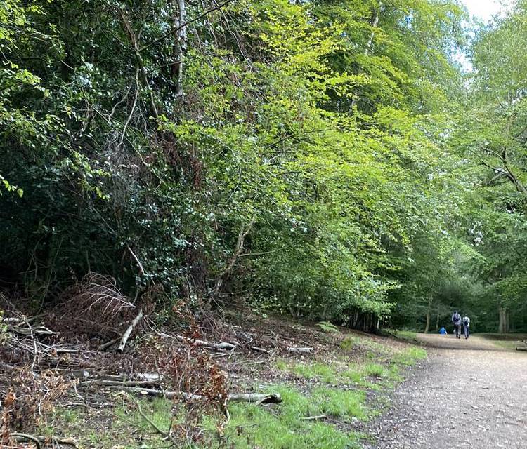 Preview of Epping Forest Centenary - Part 2