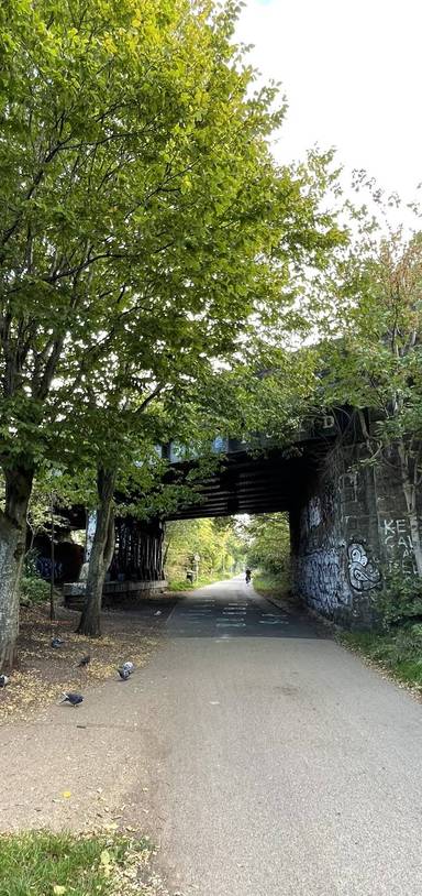 Preview of Bristol Bath Railway Path Step-free