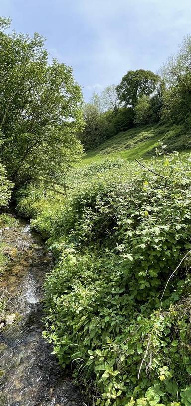Preview of Chilcompton Meadow and Somer Loop